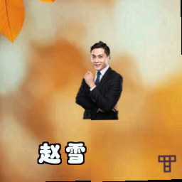 赵雪